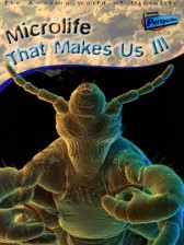 Microlife_Makes_Us_Ill